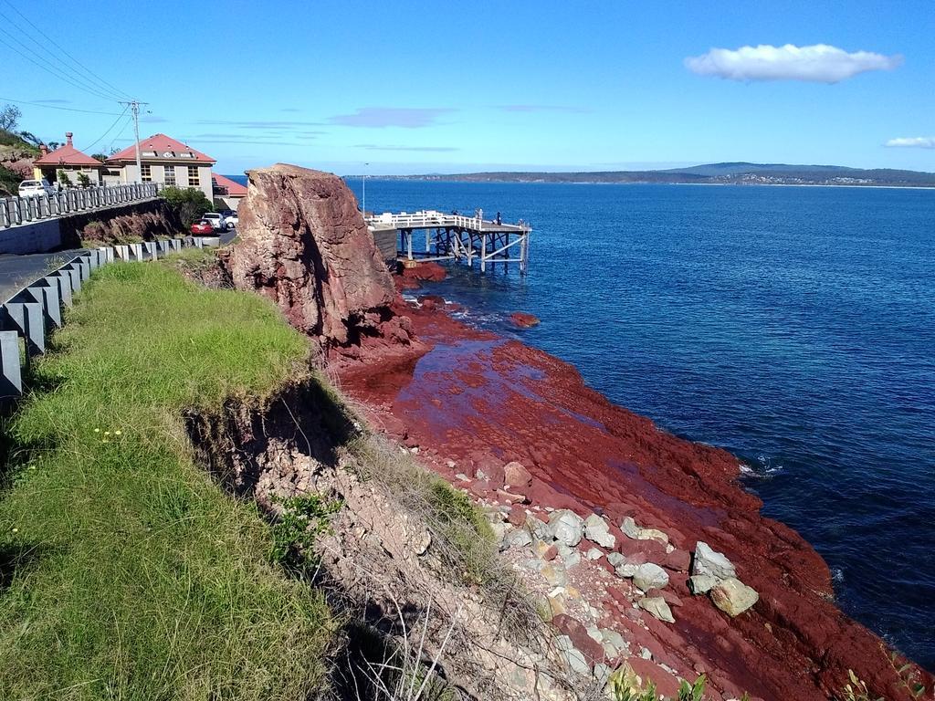 Como Lodge Merimbula Buitenkant foto